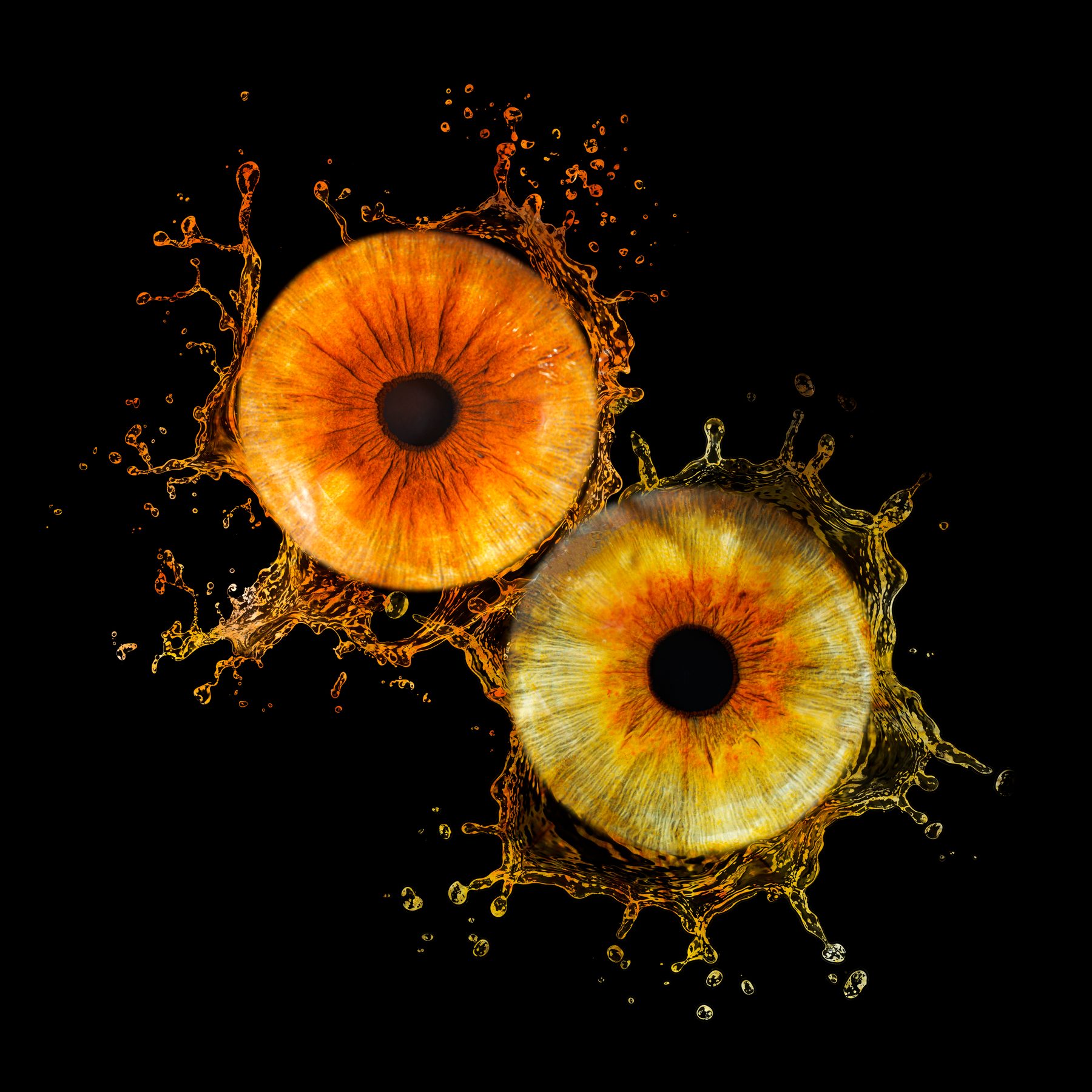 Two irises, Splash style