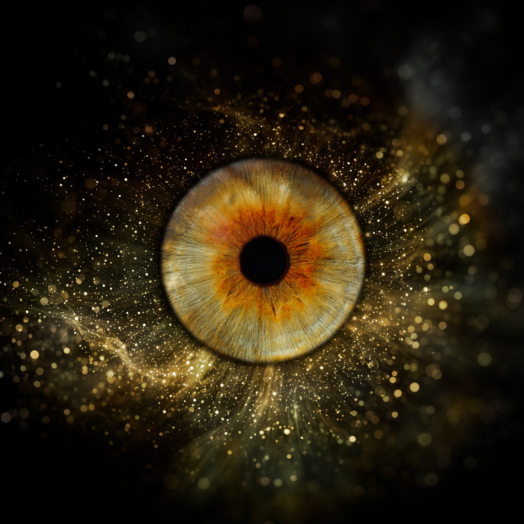 Iris, Dust style