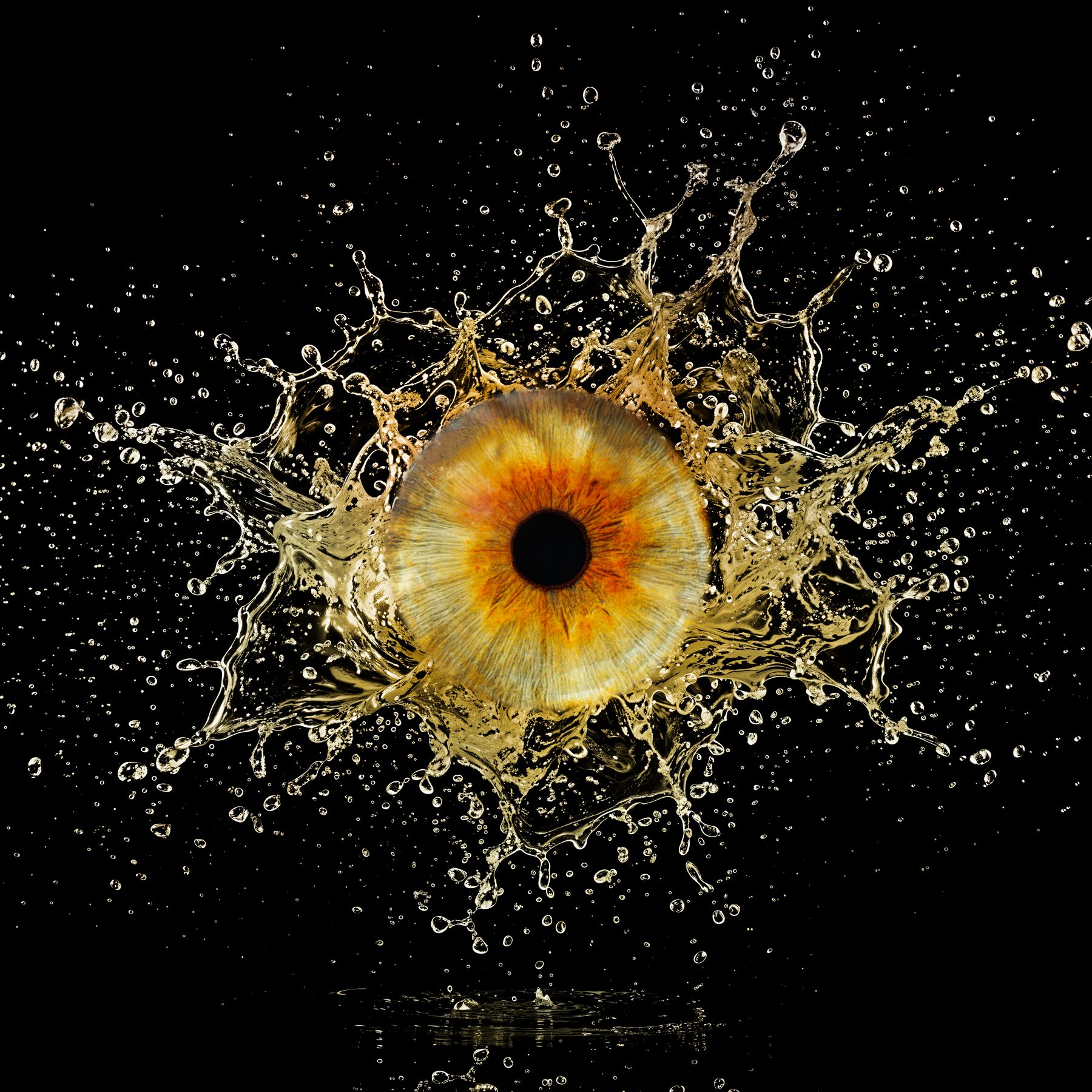 Iris, Splash style